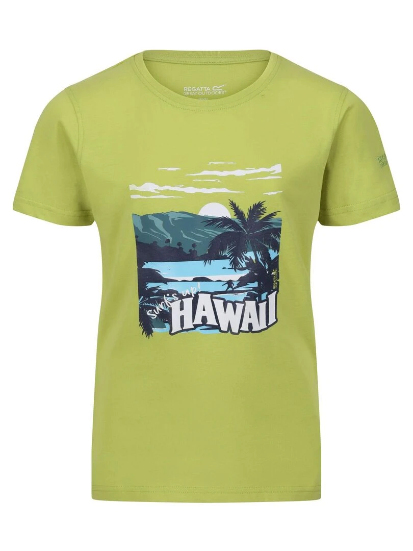 Regatta T shirt BOSLEY Vert
