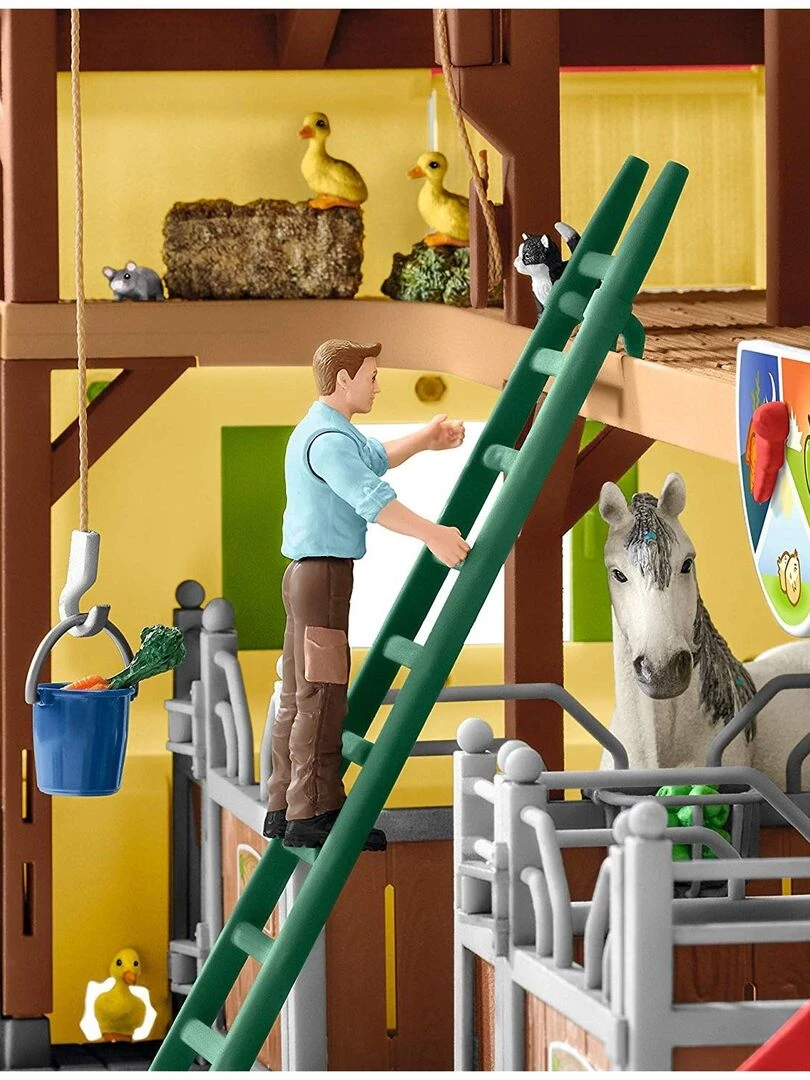 L'écurie multicolore   N/A