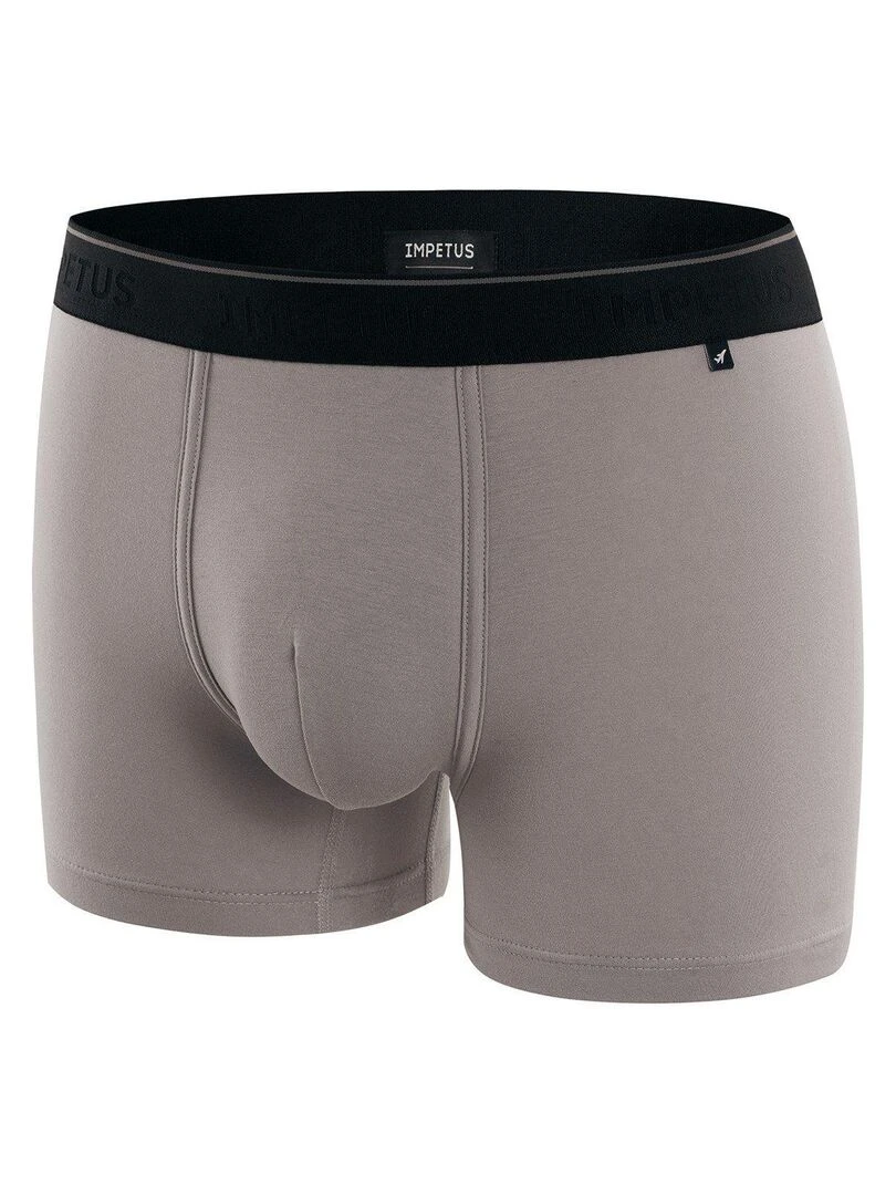 Boxer en fibre lyocell Travel   Gris