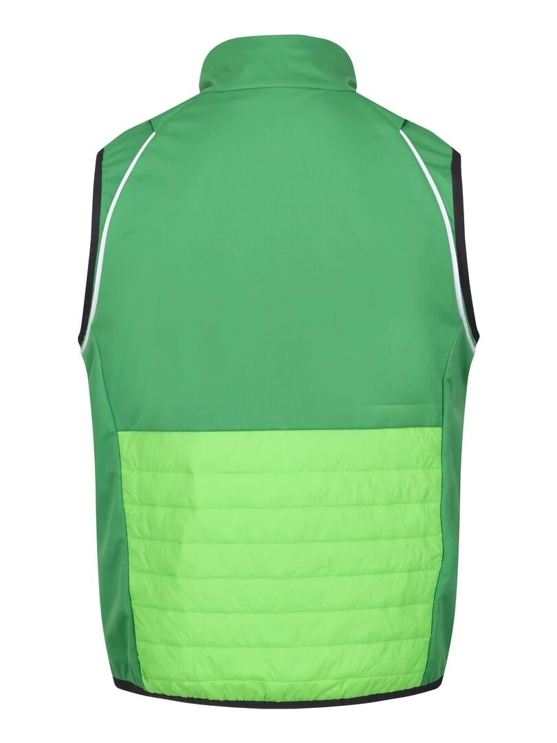 Regatta   Veste softshell STEREN HYBRID   Vert foncé