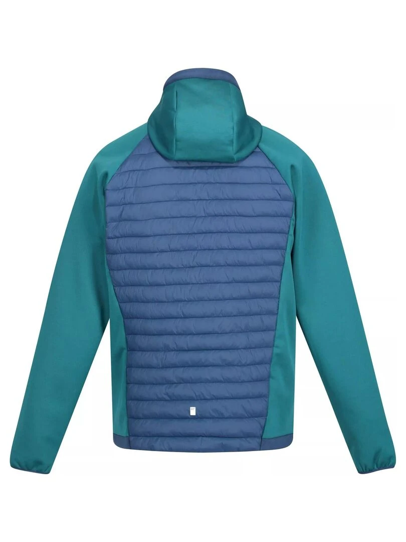 Regatta   Veste ANDRESON HYBRID   Bleu Vert