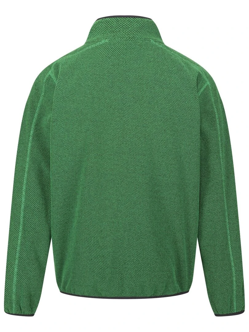 Regatta Veste polaire KINWOOD Vert foncé