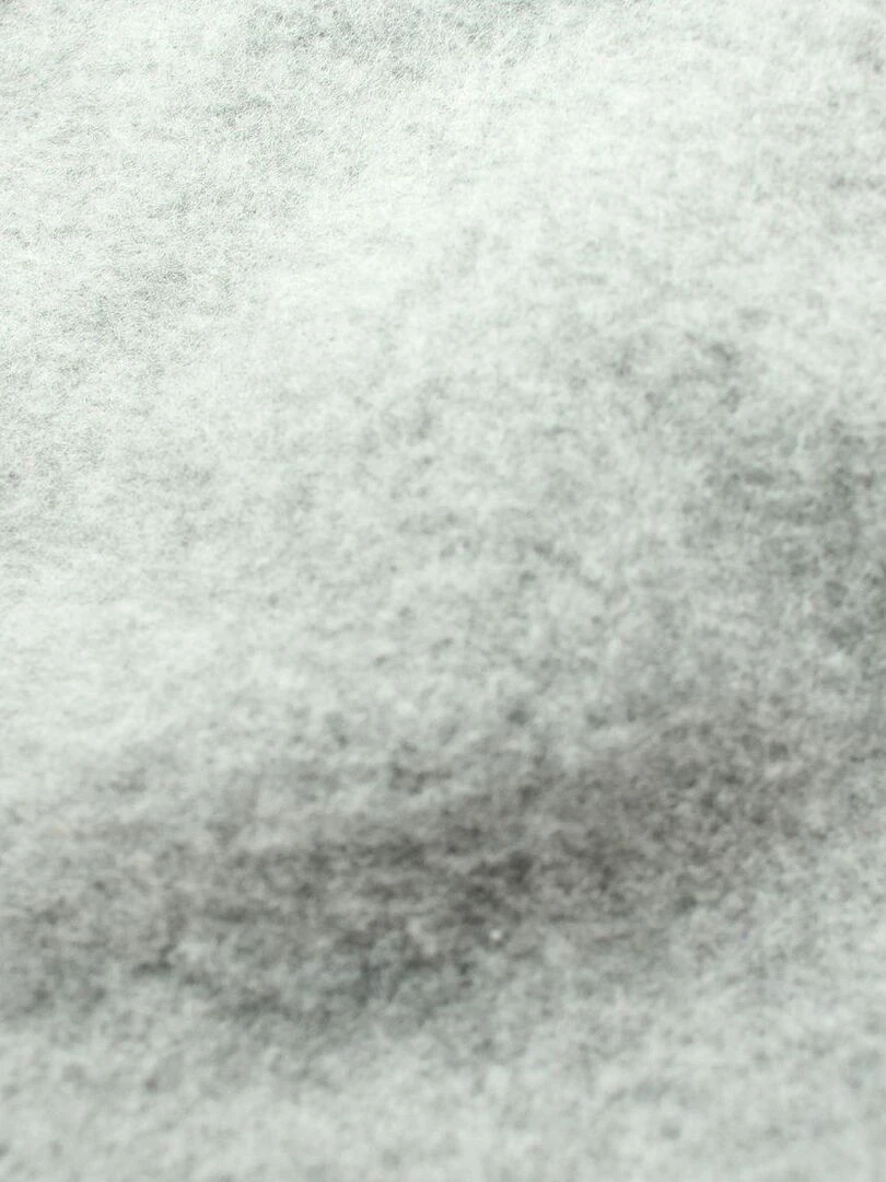 Shorts 'Le Coq Sportif' 'Ess Short Regular N°1  '   Noir