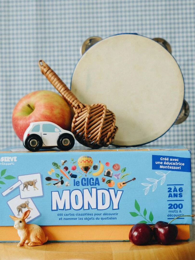Giga Mondy 600 cartes classifiées Montessori N/A