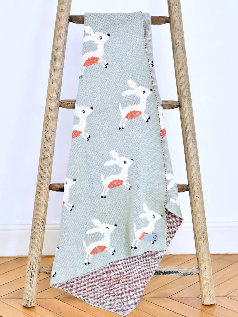 Couverture   FAON   Kaki