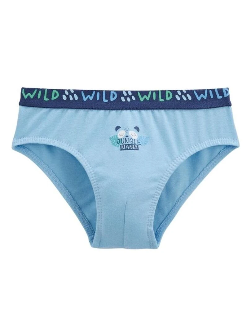 Lot de 3 slips garçon Tiago   Bleu