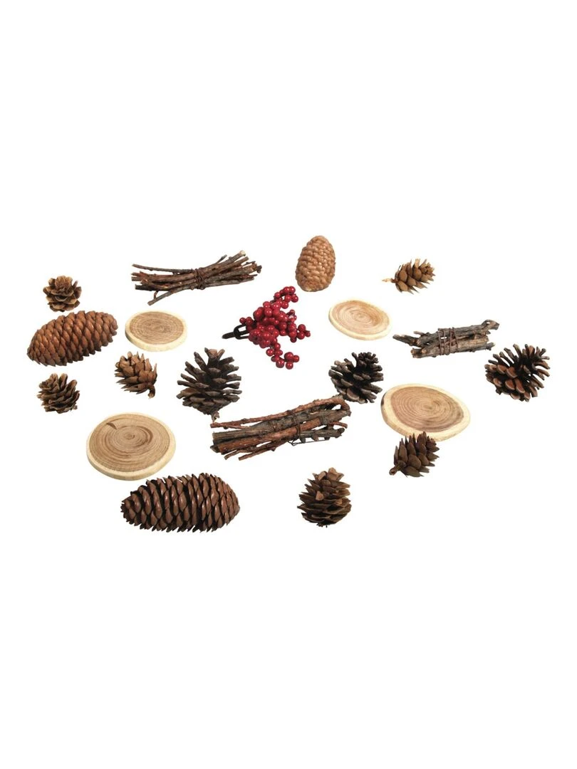 Décorations naturelles automne et Noël 20 Cônes bois et baies N/A