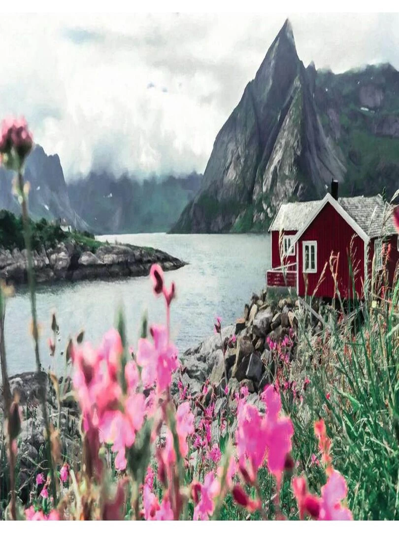 Puzzle 1000 pièces Reine Lofoten Norvège (Puzzle Highlights) N/A