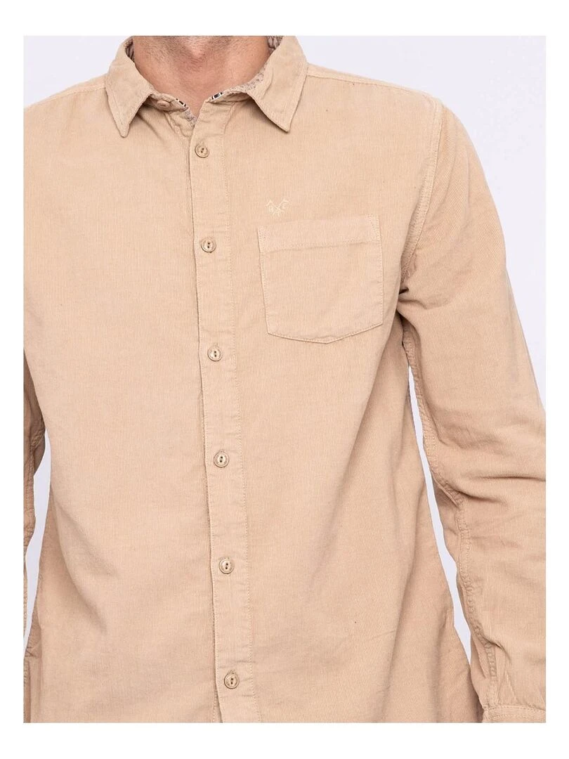 Chemise manches longues pur coton velours TRESOR   Marron