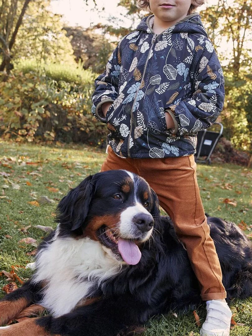 Pantalon bébé en velours côtelé Malo   Marron