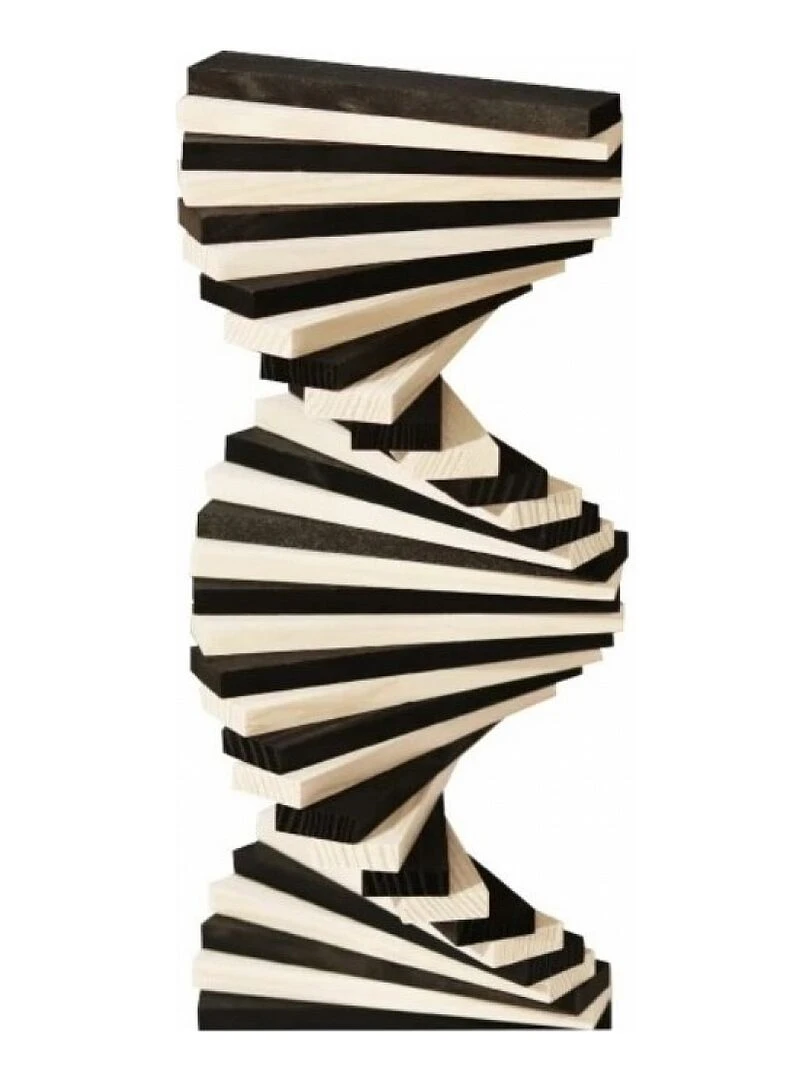 La planchette magique 'Kapla' Boite 100 pieces Noir et Blanc   N/A