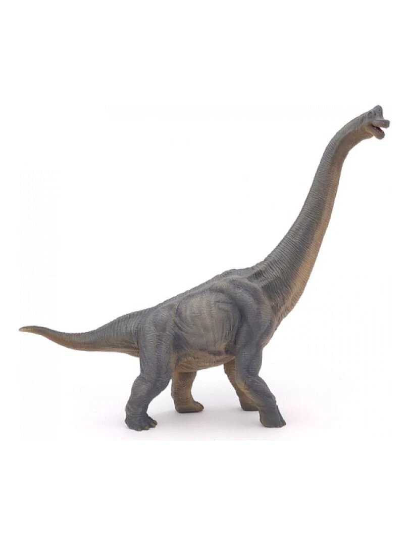 55030 Brachiosaure Figurine 'papo'   N/A