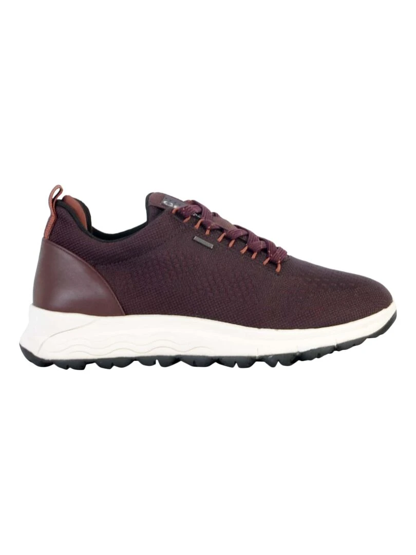 Basket Cuir Geox Spherica Violet