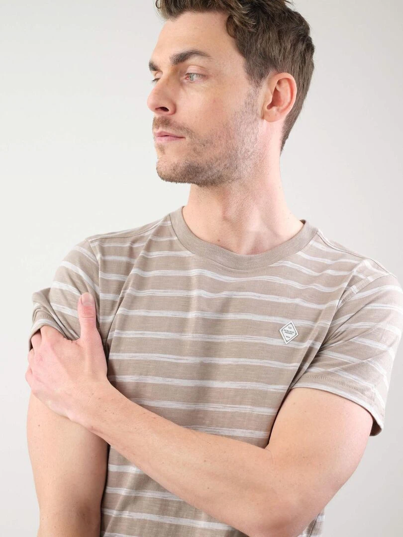 T shirt DALSO   Gris taupe
