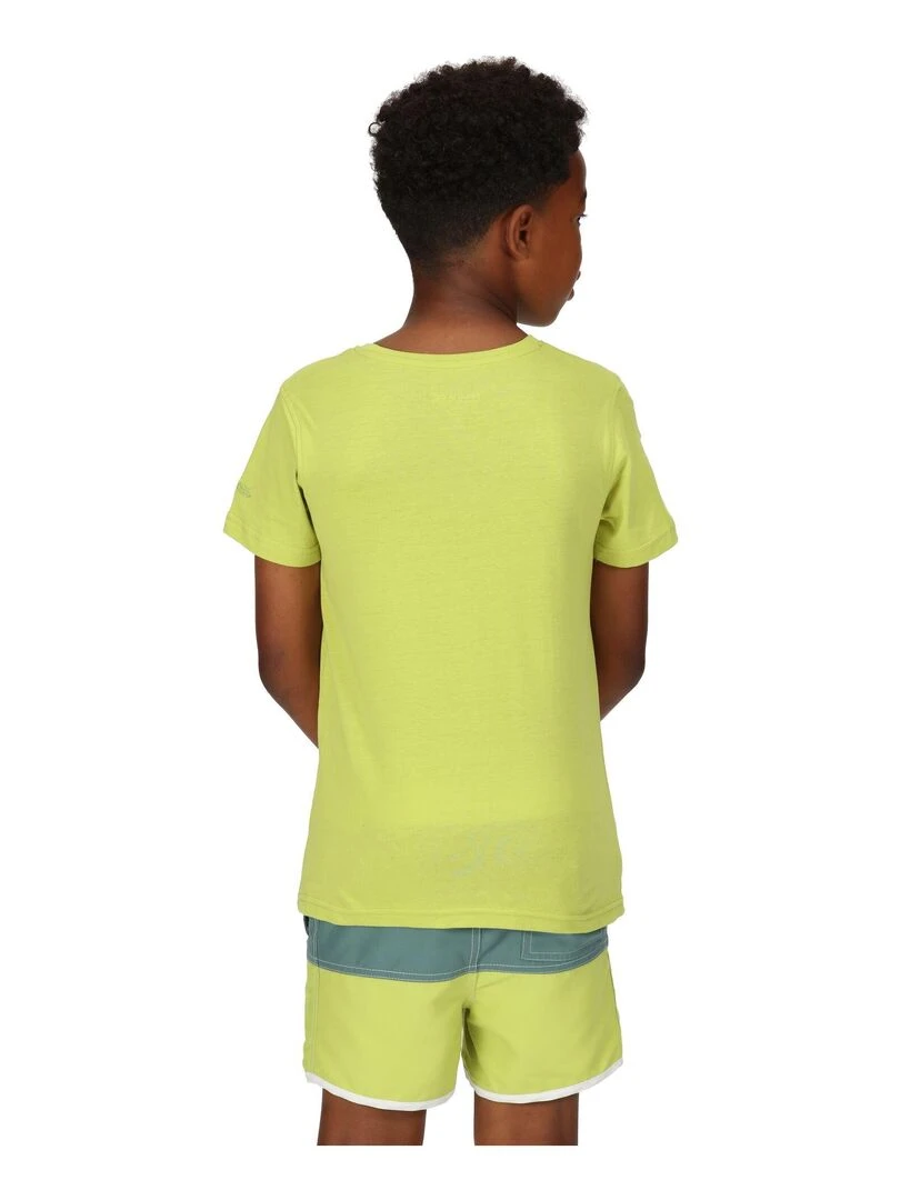 Regatta   T shirt BOSLEY   Vert