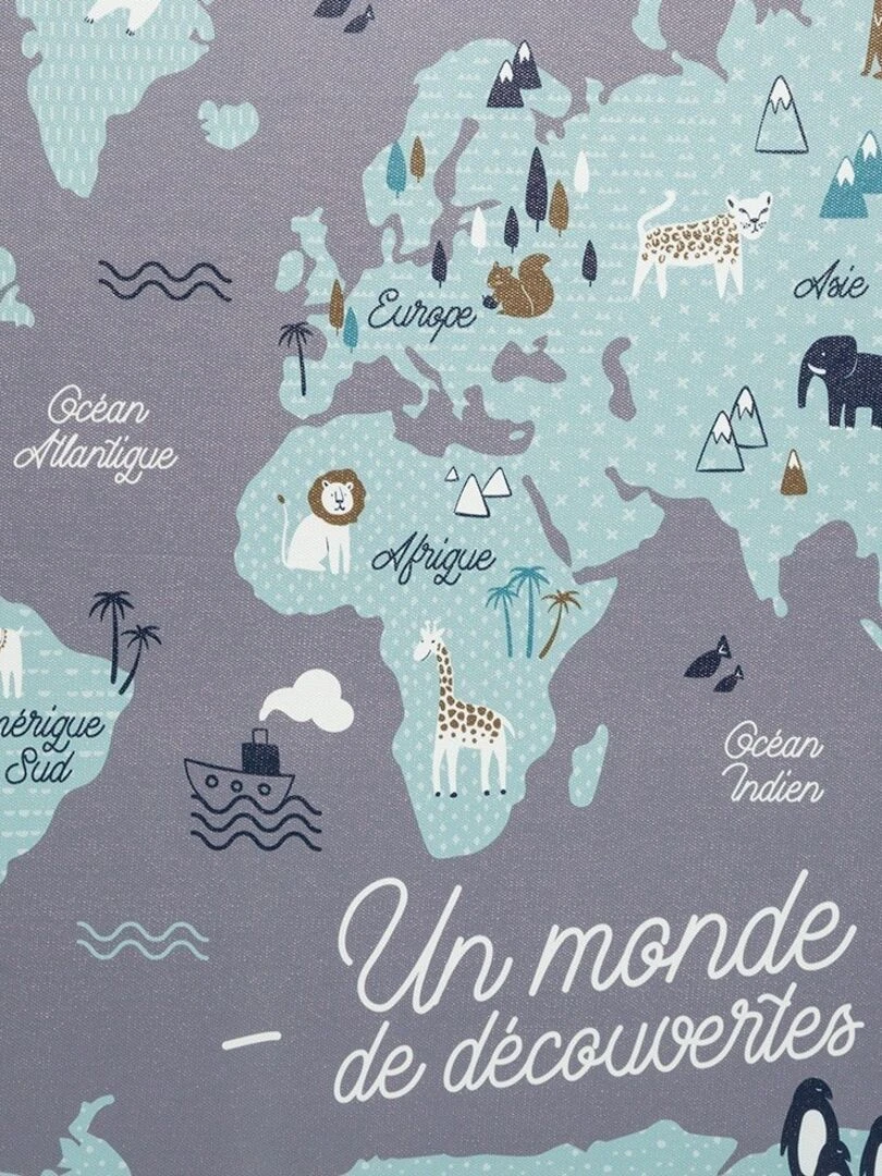 Tableau carte du monde enfant   Gris