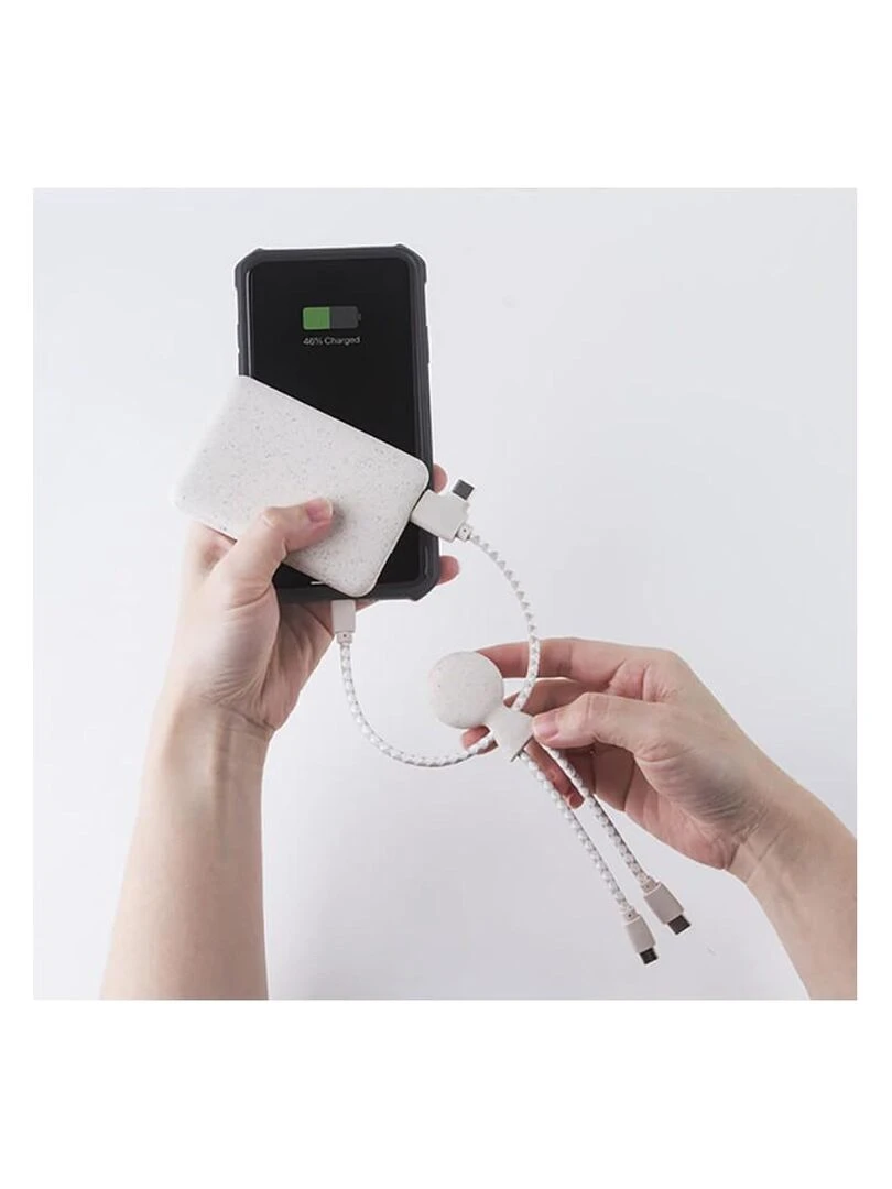 Pack Batterie externe Mr BIO Xoopar   Wheat   N/A