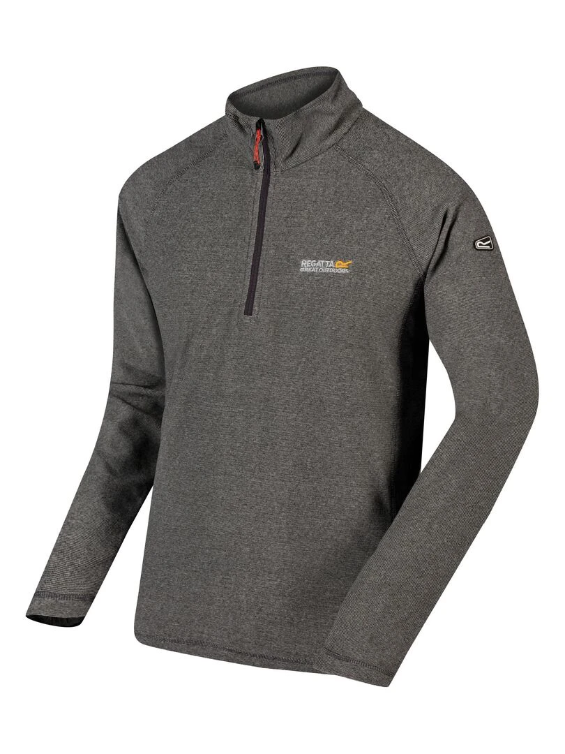 Regatta Polaire MONTES Gris