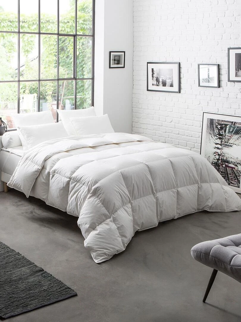 DODO Couette 70% Duvet de Canard neuf Chaude Blanc