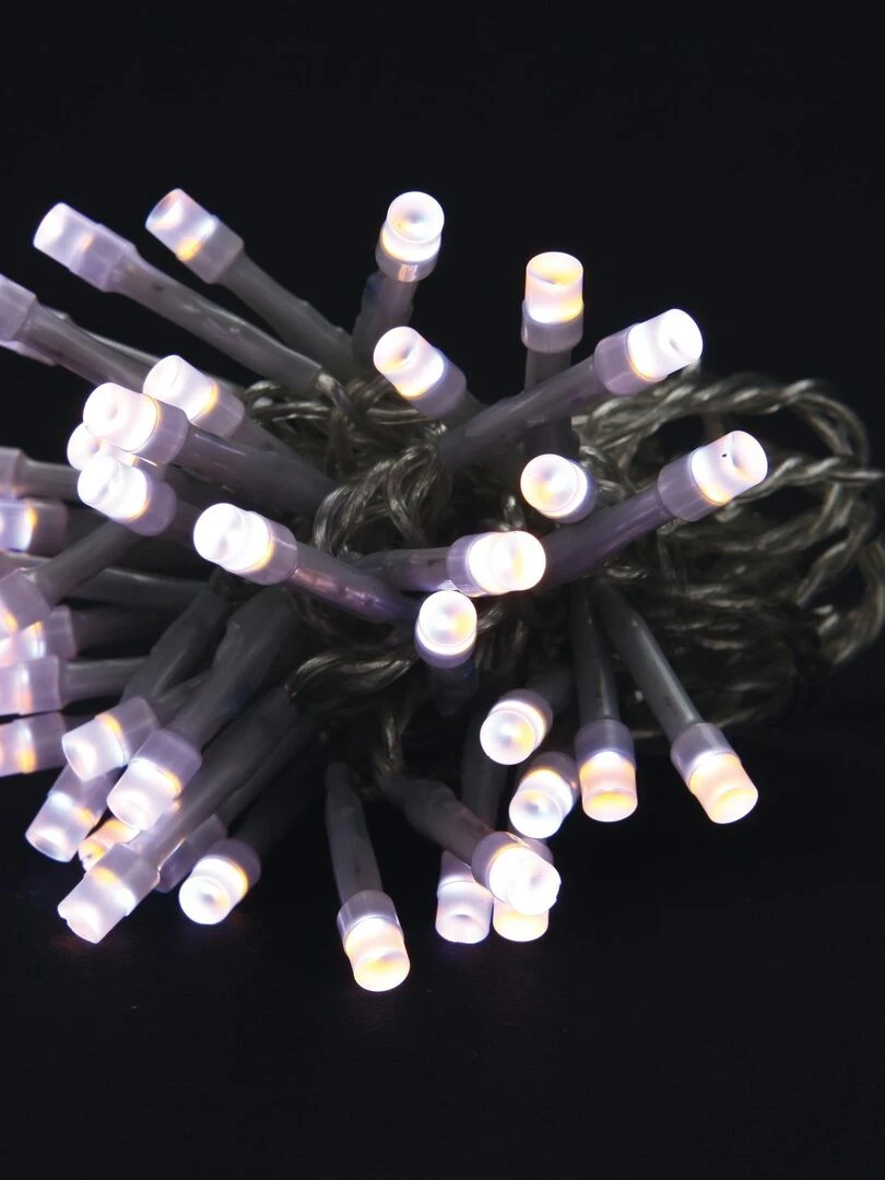 Guirlande bicolore 80 Led Blanc