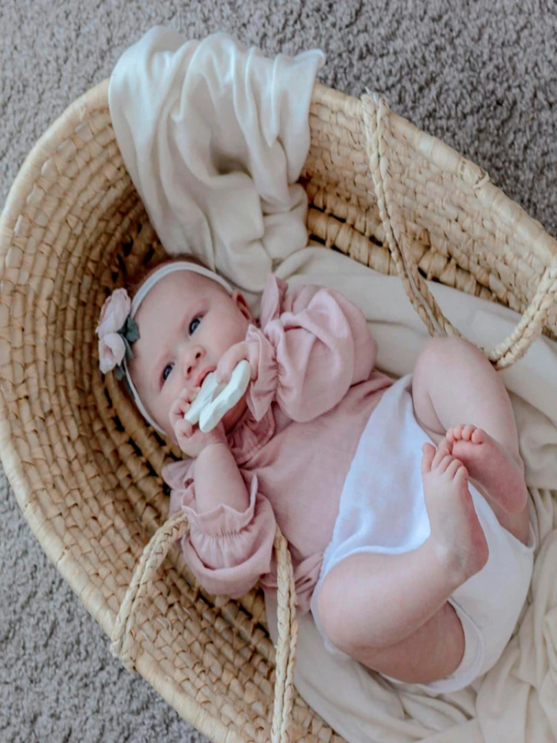 Anneau De Dentition Zèbre Mon Premier Animal Safari   N/A