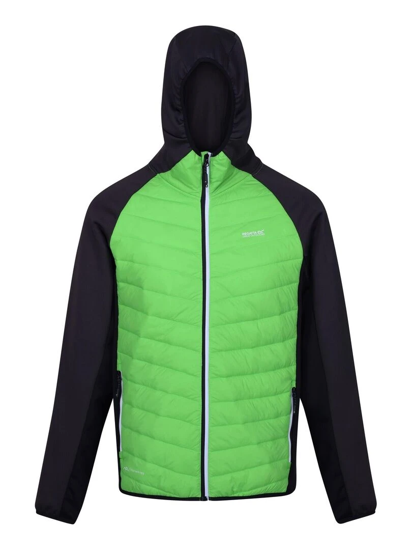 Regatta Veste hybride ANDRESON Vert clair