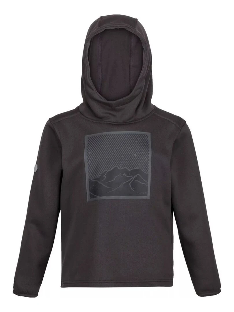 Regatta Sweat à capuche HIGHTON Gris foncé