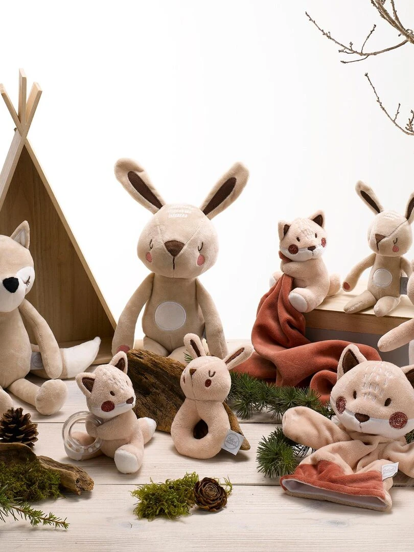 Plaid bebe avec son doudou Ours de la foret   Blanc