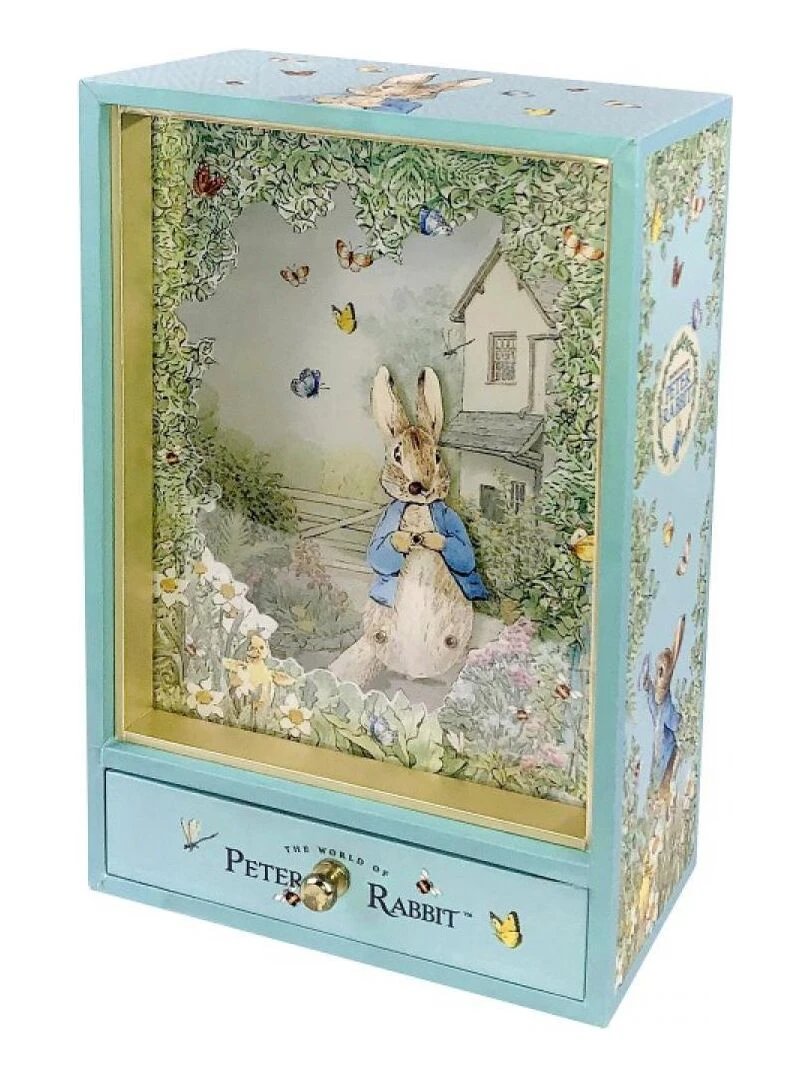 Dancing musical et veilleuse Pierre Lapin N/A