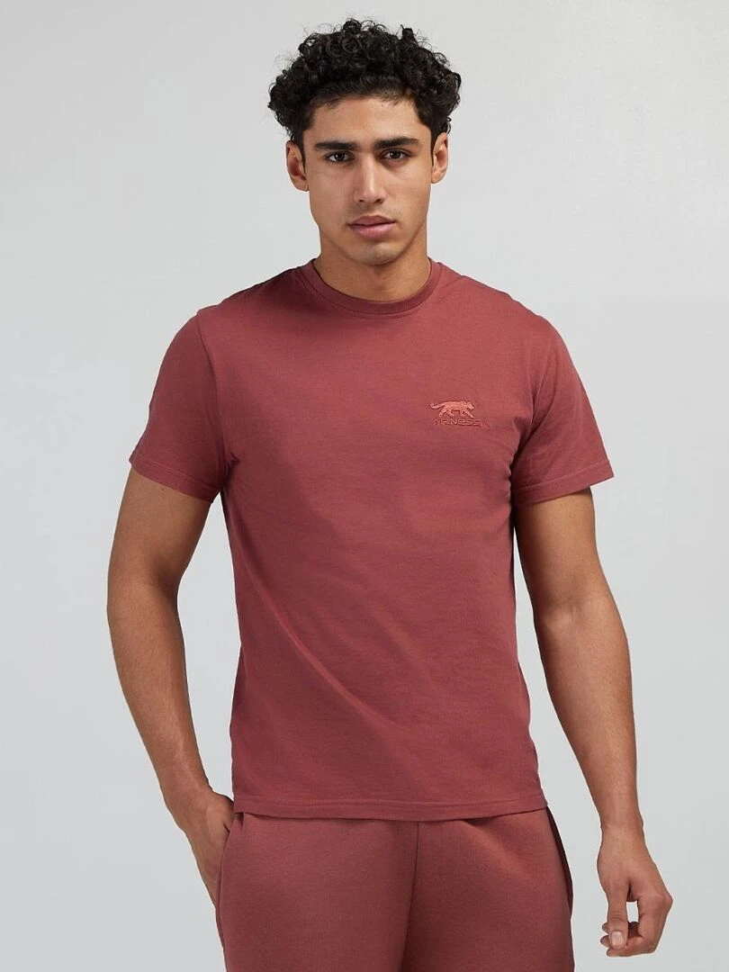 TEE SHIRT PREDATOR Airness Bordeaux