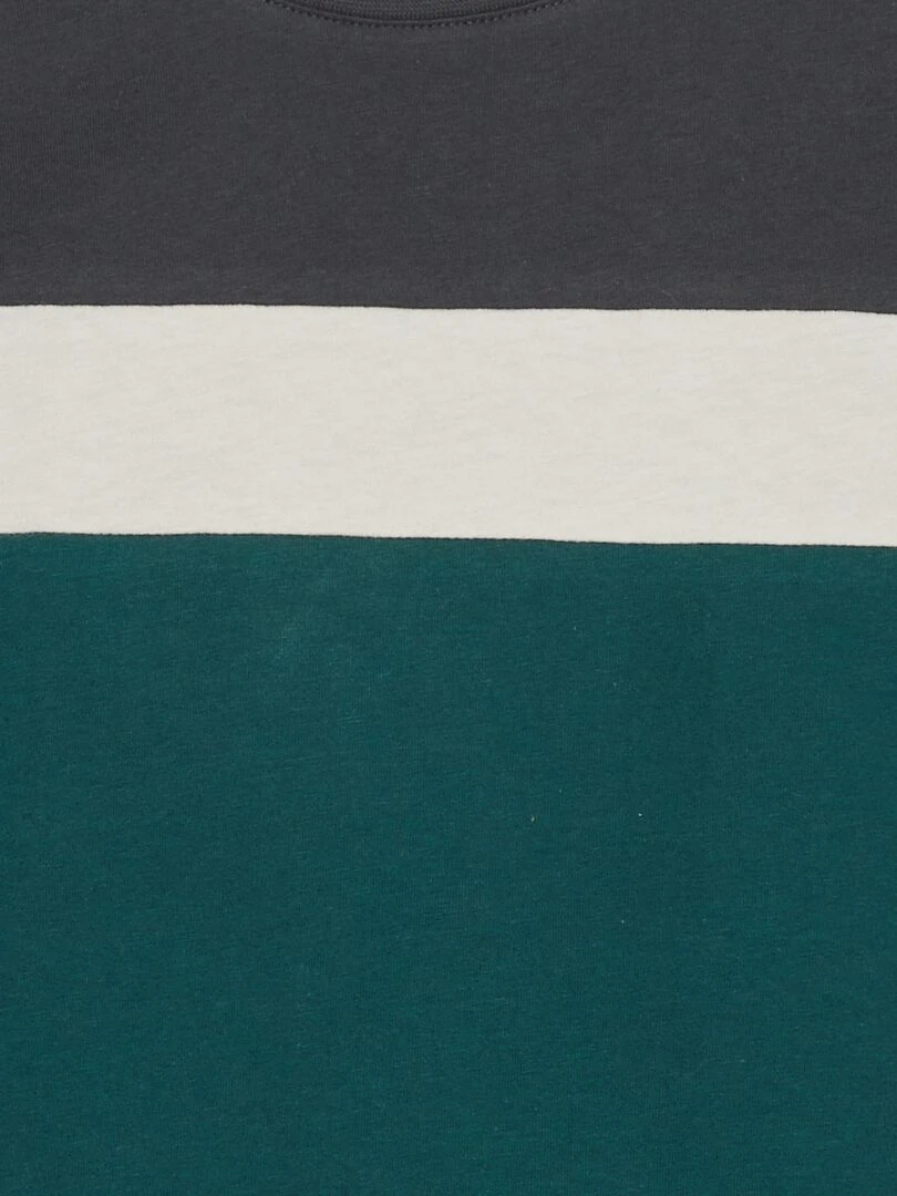 Tee shirt colorblock Vert