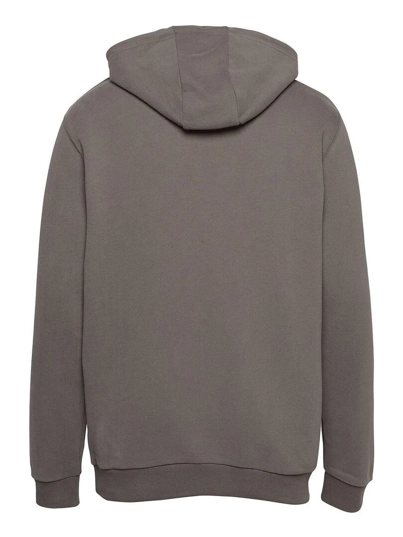 Sweat à Capuche Ellesse SL Gottero OH Gris
