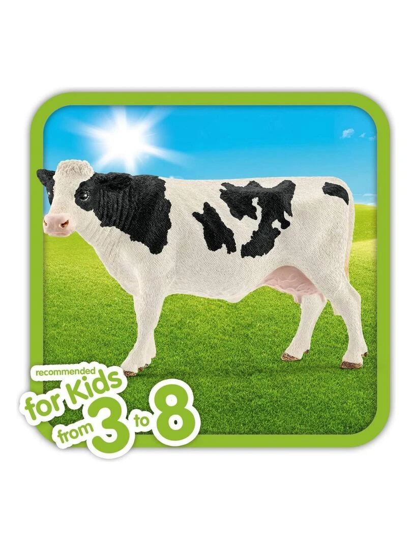 Vache Holstein   N/A