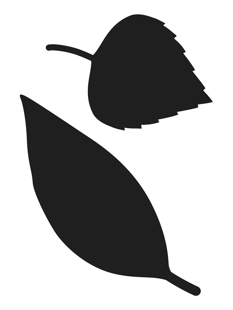 Matrices de découpe Feuilles N/A