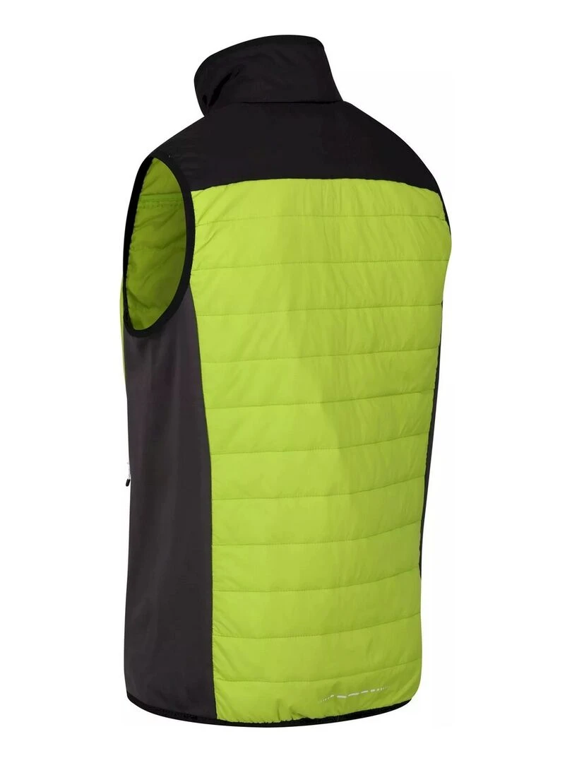 Regatta   Veste sans manches HALTON   Vert