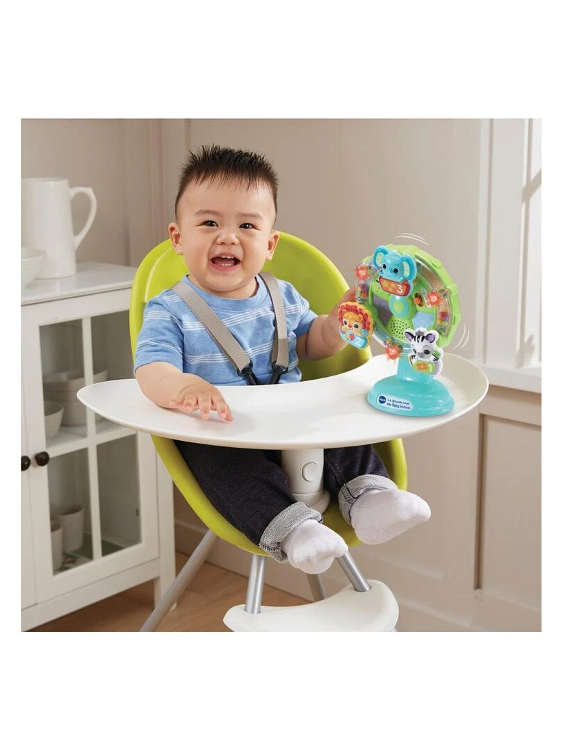 La Grande Roue Des Baby Loulous   N/A