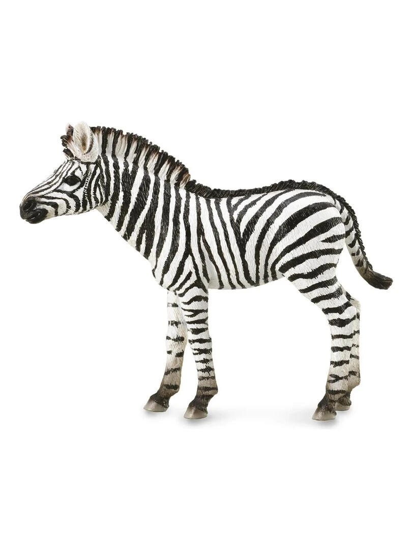 Figurine Animaux Sauvages (M): Bébé Zèbre Commun N/A