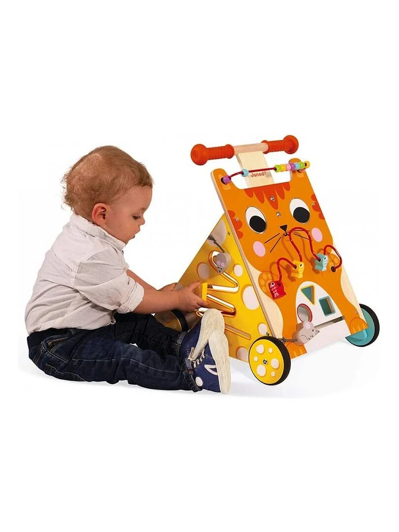 Chariot De Marche Multi Activites Chat   N/A