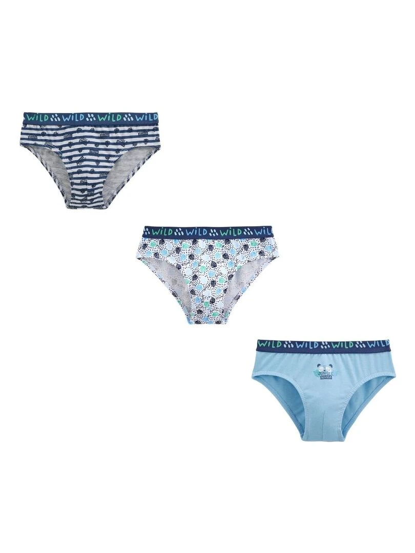 Lot de 3 slips garçon Tiago Bleu