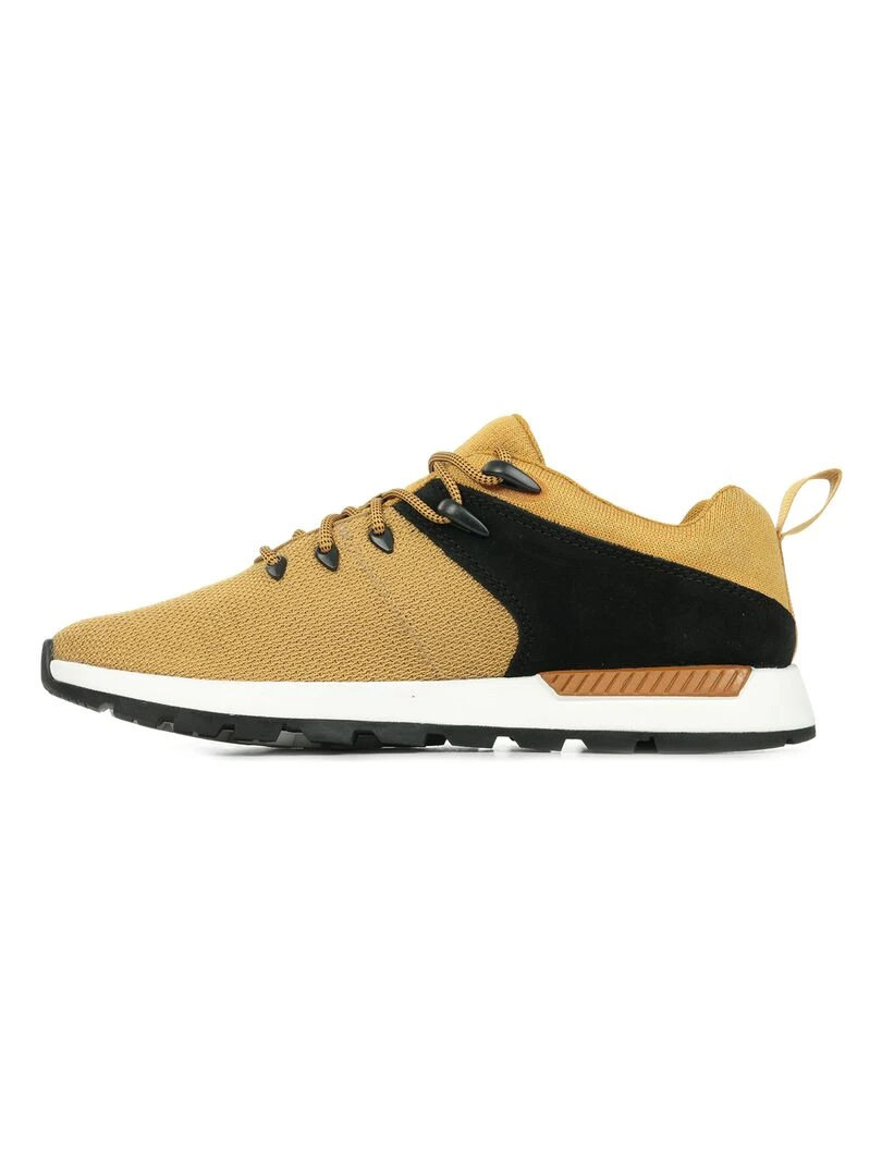 Baskets Timberland Sprint Trekr Low Knit   Marron