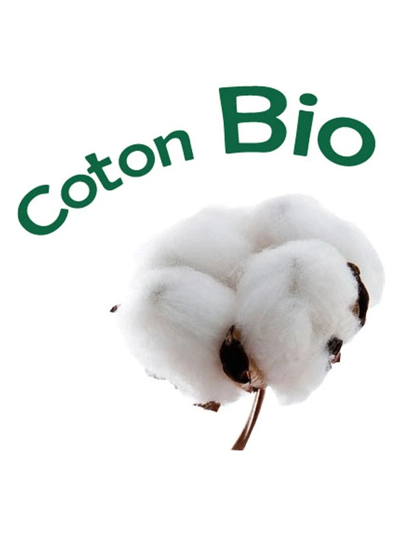 Housse de couette Coton Bio 57 fils   'P'tit Basile'   Vert d'eau