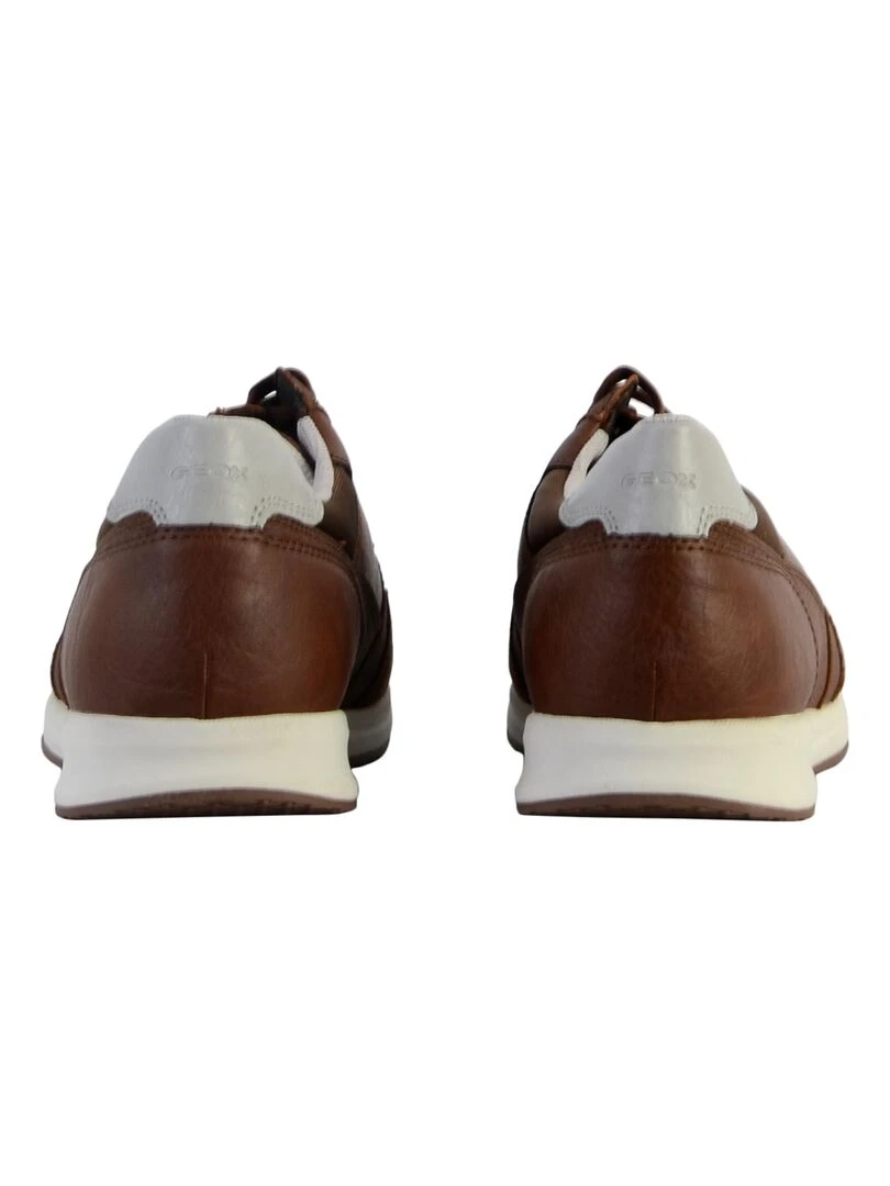 Basket Cuir Geox U Avery A Wrinkl   Marron