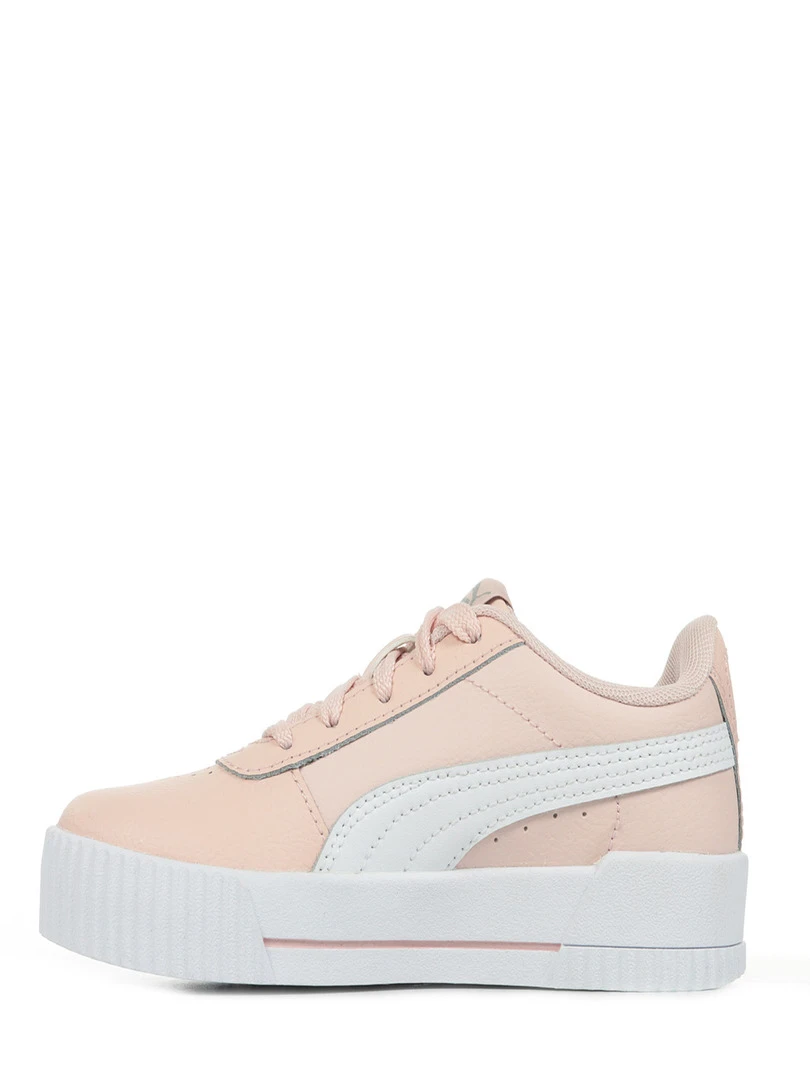 Baskets Carina L Ps   Rose