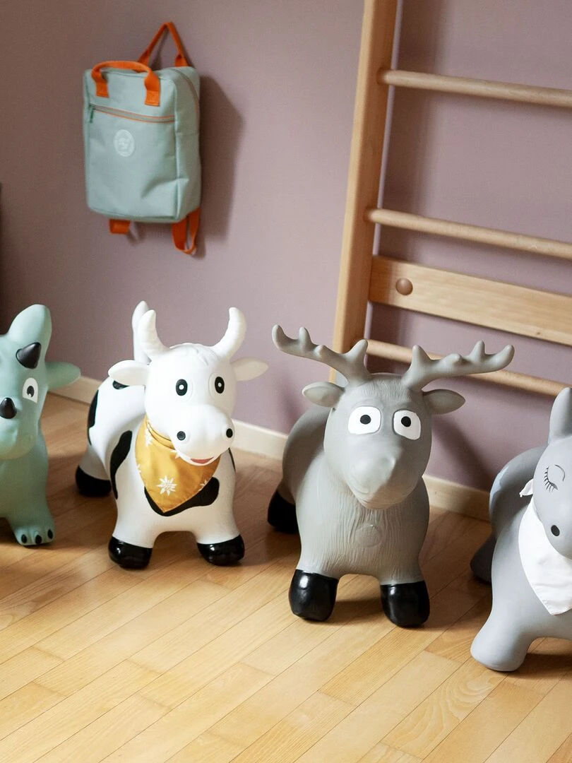 Animal sauteur gonflable en plastique  poney   Gris foncé