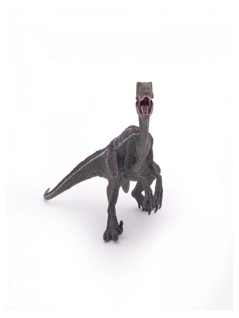 55023 Vélociraptor Dinosaure   N/A