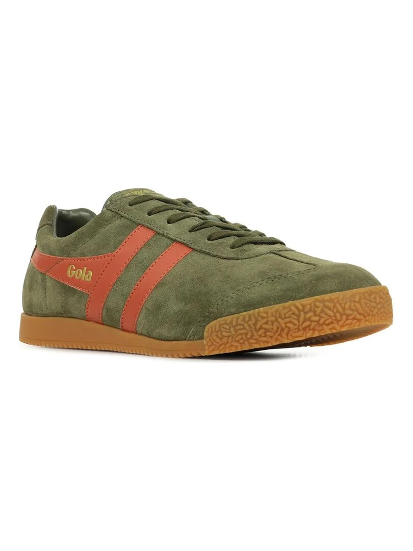 Baskets Gola Harrier Suede Kaki