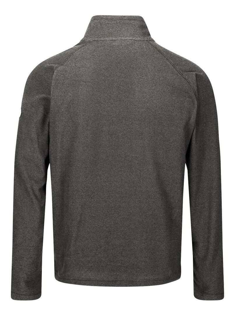 Regatta Polaire MONTES Gris