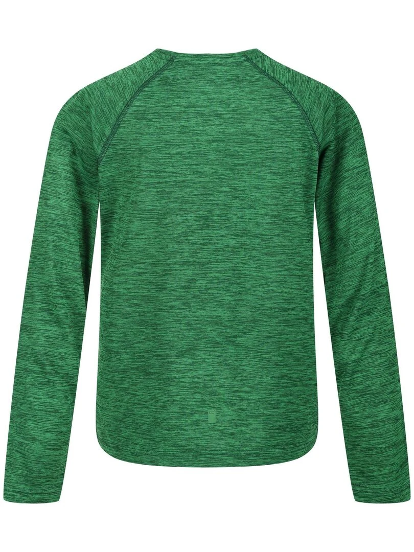 Regatta T shirt BURNLEE ROAM FREE Vert foncé