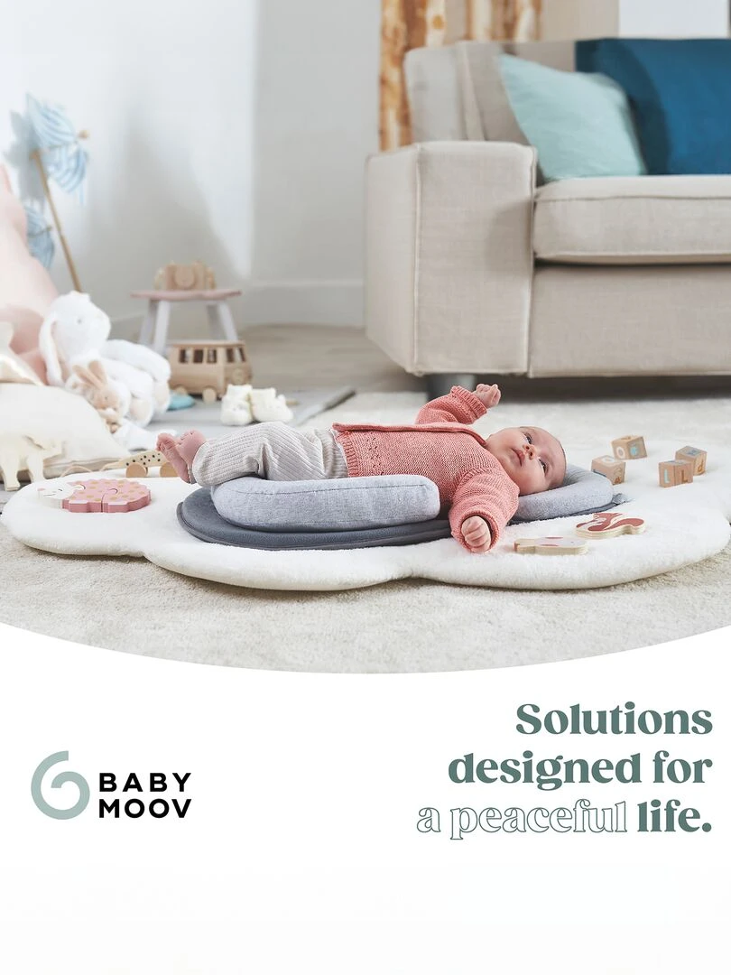 Cale bébé 'Babymoov'   Gris