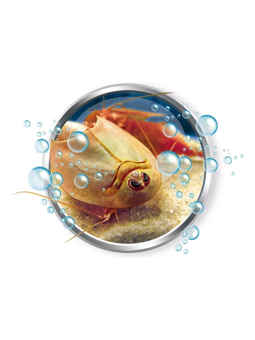 Science et jeu : Mes premiers Triops   N/A